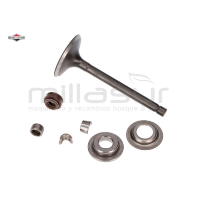 VÁLVULA ADMISIÓN - motoscamaralweb.com