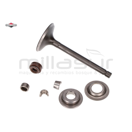 VÁLVULA ADMISIÓN - motoscamaralweb.com