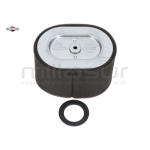 FILTRO AIRE - motoscamaralweb.com