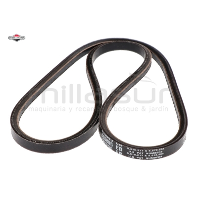 CORREA PRIMARIA - motoscamaralweb.com