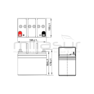 BATERIA CICLICA GEL FPG12-31 12V 31 Ah.( 195 x 130 x 178 ) - motoscamaralweb.com