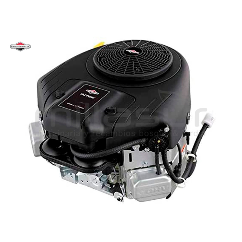 MOTOR INTEK 7220 25.4X80 REEMPLAZA A 40N8770037B5AF0001 - motoscamaralweb.com