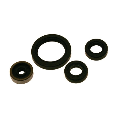 Kit de retenes de motor CENTAURO - motoscamaralweb.com