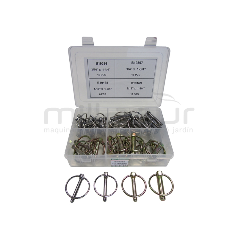 CAJA PASADORES (50 PCS) - motoscamaralweb.com