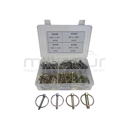 CAJA PASADORES (50 PCS) - motoscamaralweb.com