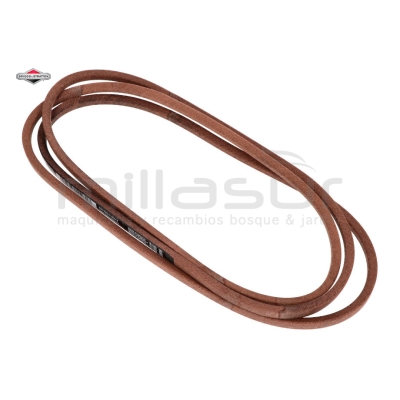 CORREA MURRAY - motoscamaralweb.com