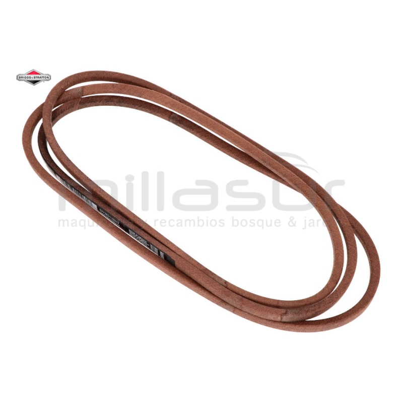 CORREA MURRAY - motoscamaralweb.com