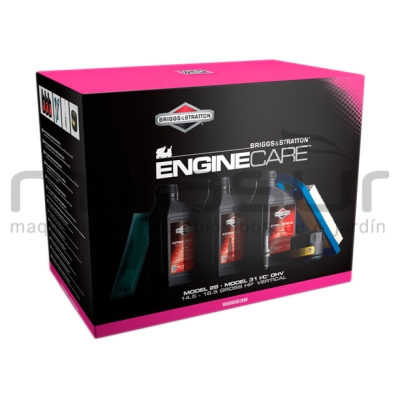 KIT MANTENIMIENTO MODEL 28 &amp; 31 VERTICAL OHV - motoscamaralweb.com