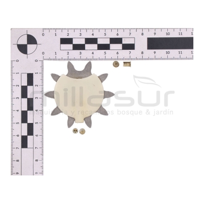 PIÑONES PUNTERA POWER TECH 3/8 x 10 - motoscamaralweb.com