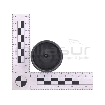 FLOTADOR ASPIRADOR AS20 (36) - motoscamaralweb.com