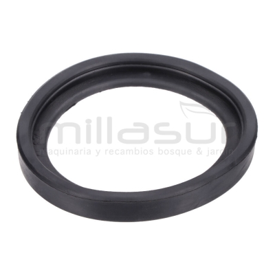 JUNTA INFERIOR MOTOR AS20C (18) - motoscamaralweb.com