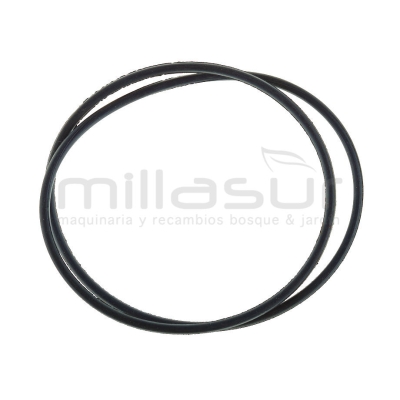 JUNTA TORICA BOMBA 195X3.55 (A6) - motoscamaralweb.com