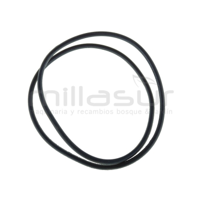 JUNTA CUERPO BOMBA JUANYONG - motoscamaralweb.com