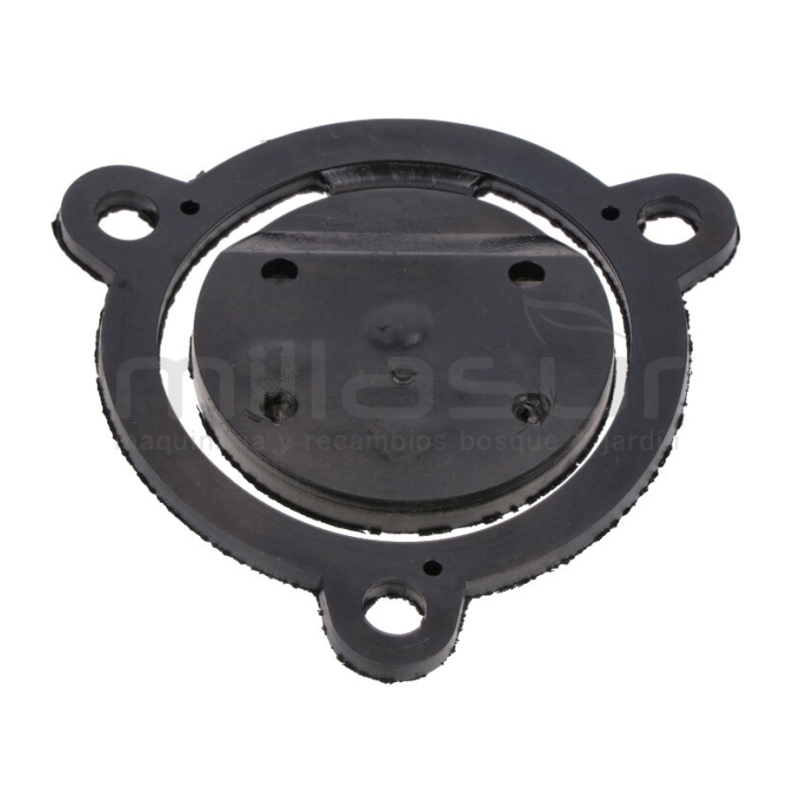 JUNTA VALVULA RETORNO BA4C20AS (16) - motoscamaralweb.com