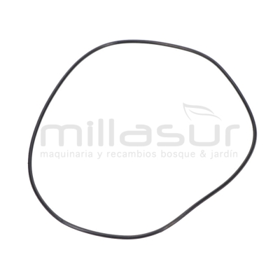 JUNTA CUERPO BOMBA (6) - motoscamaralweb.com