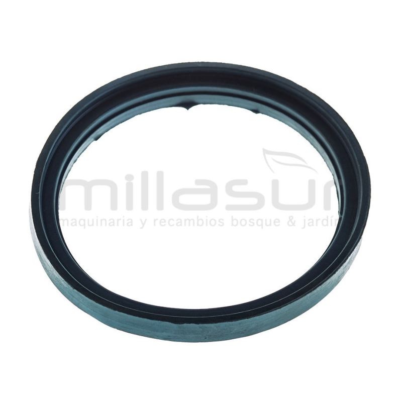 JUNTA SOPORTE MOTOR ASPIRADOR AS20 (13) - motoscamaralweb.com