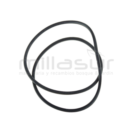 JUNTA CUERPO BOMBA - motoscamaralweb.com