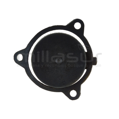 VALVULA RETORNO BA4C30 (17) - motoscamaralweb.com