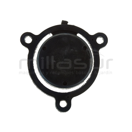 VALVULA ANTIRETORNO BOMBA BA4C30AS (16) - motoscamaralweb.com