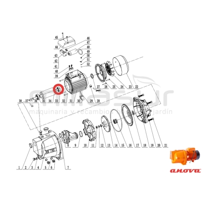 RODAMIENTO EJE ROTOR LADO VENTILADOR 6202-2Z BE1100 (33) - motoscamaralweb.com