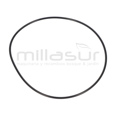 JUNTA TORICA CUERPO BOMBA BE1300P (17) - motoscamaralweb.com