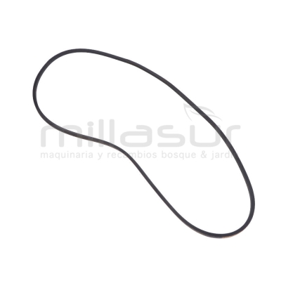 CORREA BIO150 (35) - motoscamaralweb.com