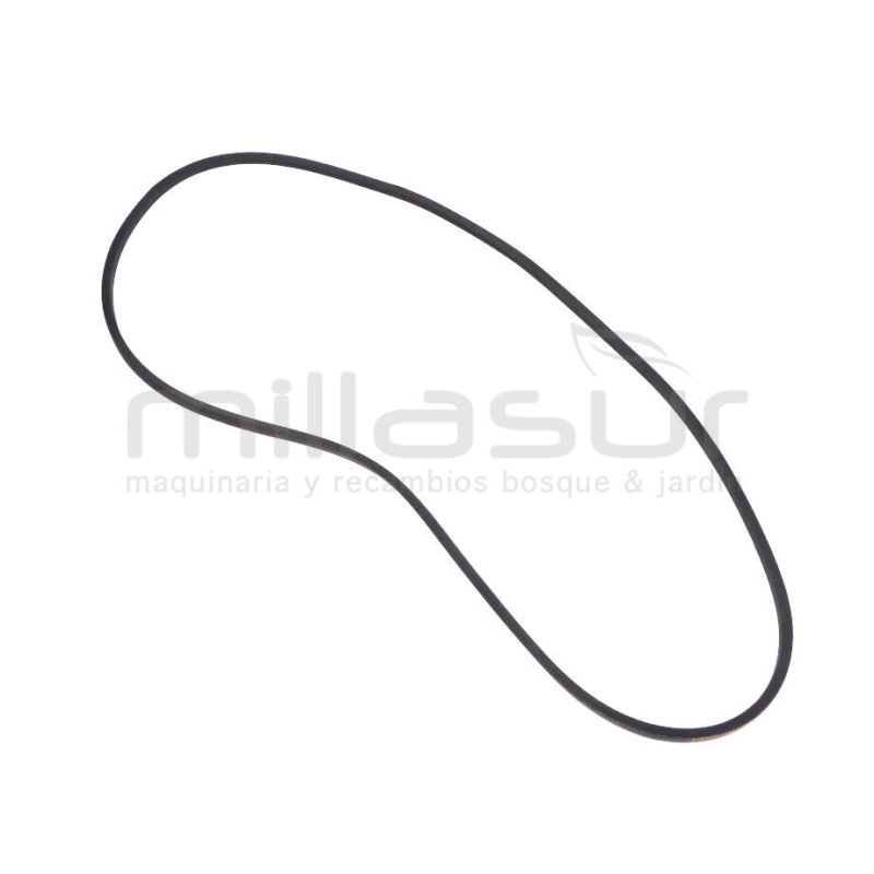 CORREA BIO150 (35) - motoscamaralweb.com