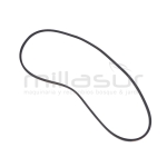 CORREA BIO150 (35) - motoscamaralweb.com