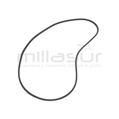 CORREA BIO150 (35) - motoscamaralweb.com