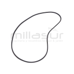 CORREA BIO150 (35) - motoscamaralweb.com