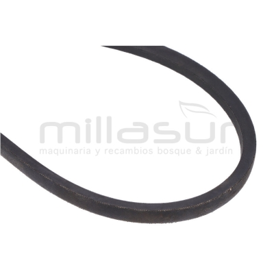 CORREA BIO150 (35) - motoscamaralweb.com