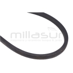 CORREA BIO150 (35) - motoscamaralweb.com