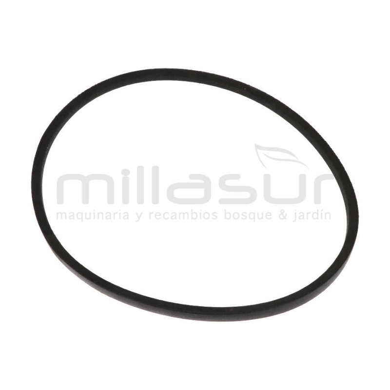 CORREA BIO150D. B1092 LI - motoscamaralweb.com