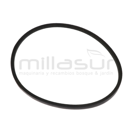 CORREA BIO150D. B1092 LI - motoscamaralweb.com