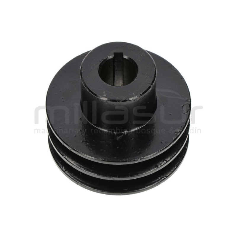 POLEA DOBLE SALIDA MOTOR BIO150S (45) - motoscamaralweb.com