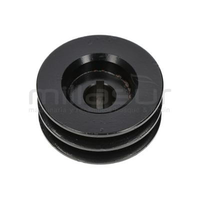 POLEA DOBLE SALIDA MOTOR BIO150S (45) - motoscamaralweb.com