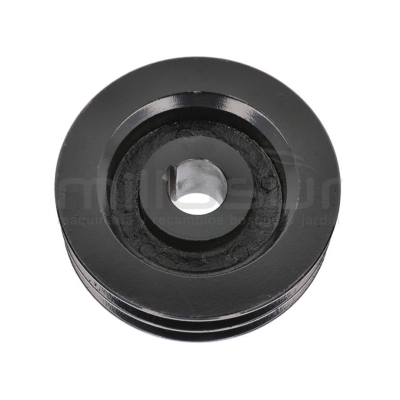 POLEA DOBLE TAMBOR BIO150S (48) - motoscamaralweb.com