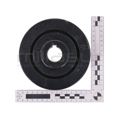 POLEA DOBLE TAMBOR BIO150S (48) - motoscamaralweb.com