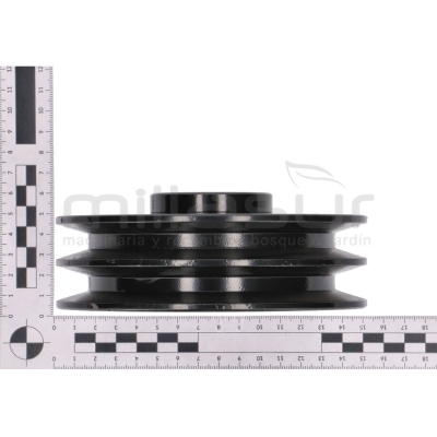 POLEA DOBLE TAMBOR BIO150S (48) - motoscamaralweb.com