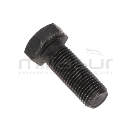 TORNILLO POLEA SALIDA MOTOR BIO150S (52) - motoscamaralweb.com