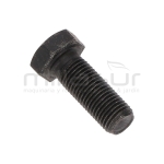 TORNILLO POLEA SALIDA MOTOR BIO150S (52) - motoscamaralweb.com