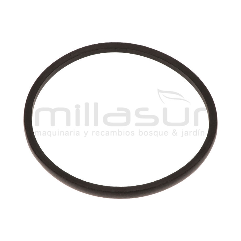 CORREA BIO150T (29) B-813 - motoscamaralweb.com