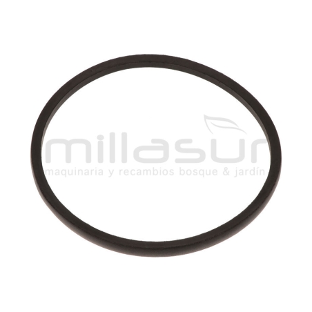 CORREA BIO150T (29) B-813 - motoscamaralweb.com