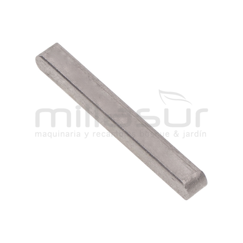 CHAVETA POLEOA TAMBOR TRITURADOR BIO150VR (31) - motoscamaralweb.com