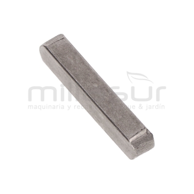 CHAVETA POLEOA SALIDA MOTOR BIO150VR (41) - motoscamaralweb.com