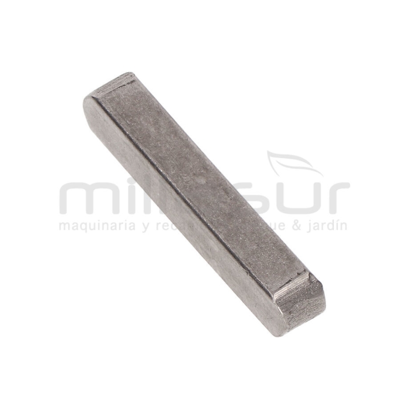 CHAVETA POLEOA SALIDA MOTOR BIO150VR (41) - motoscamaralweb.com