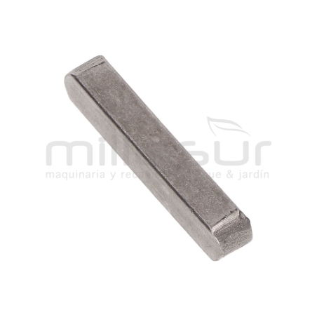 CHAVETA POLEOA SALIDA MOTOR BIO150VR (41) - motoscamaralweb.com