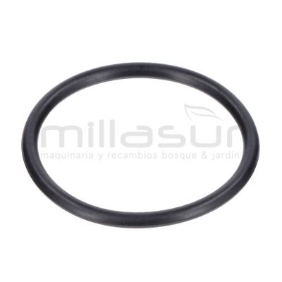 JUNTA TORICA CUERPO 45x3.1 BE1300ASC (20) - motoscamaralweb.com