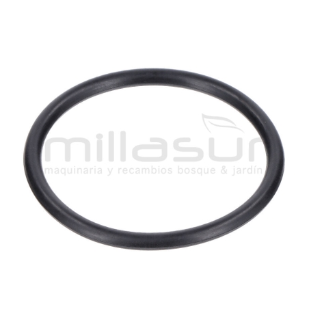 JUNTA TORICA CUERPO 45x3.1 BE1300ASC (20) - motoscamaralweb.com