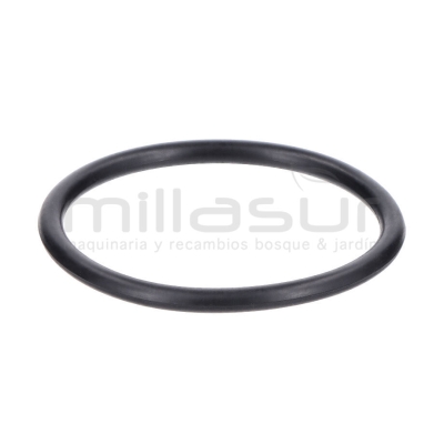 JUNTA TORICA CUERPO 45x3.1 BE1300ASC (20) - motoscamaralweb.com